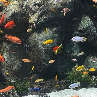이상원 대표 이미지