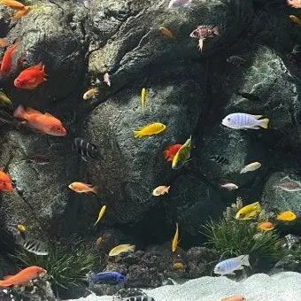 Profile image of 이상원