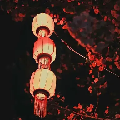 Profile image of 김단아