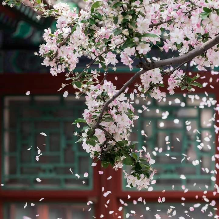 情人 대표 이미지