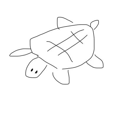 Profile image of 亀太