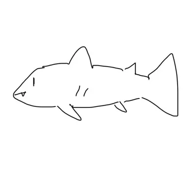 Profile image of スイカ