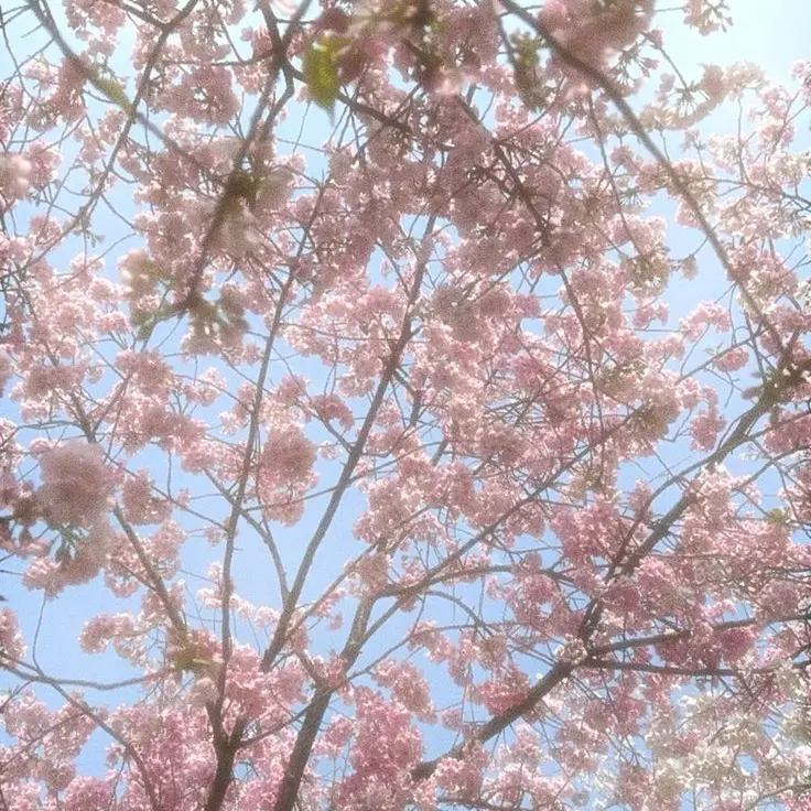 Dino_0911의 우리 사랑은 하지말자