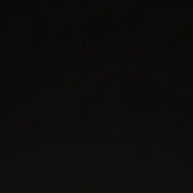 Profile image of 이 리오