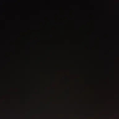 Profile image of 김 재현