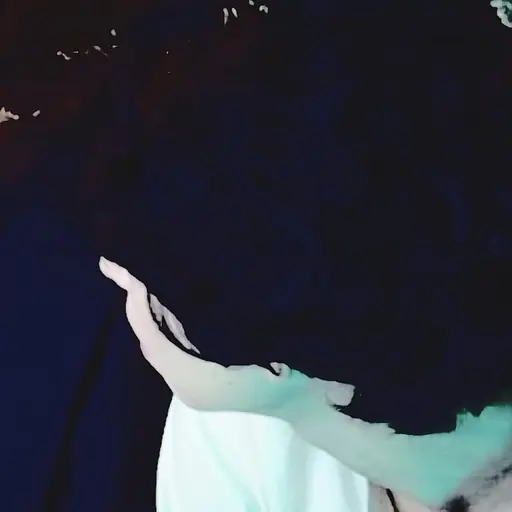 Cospaka의 팹택