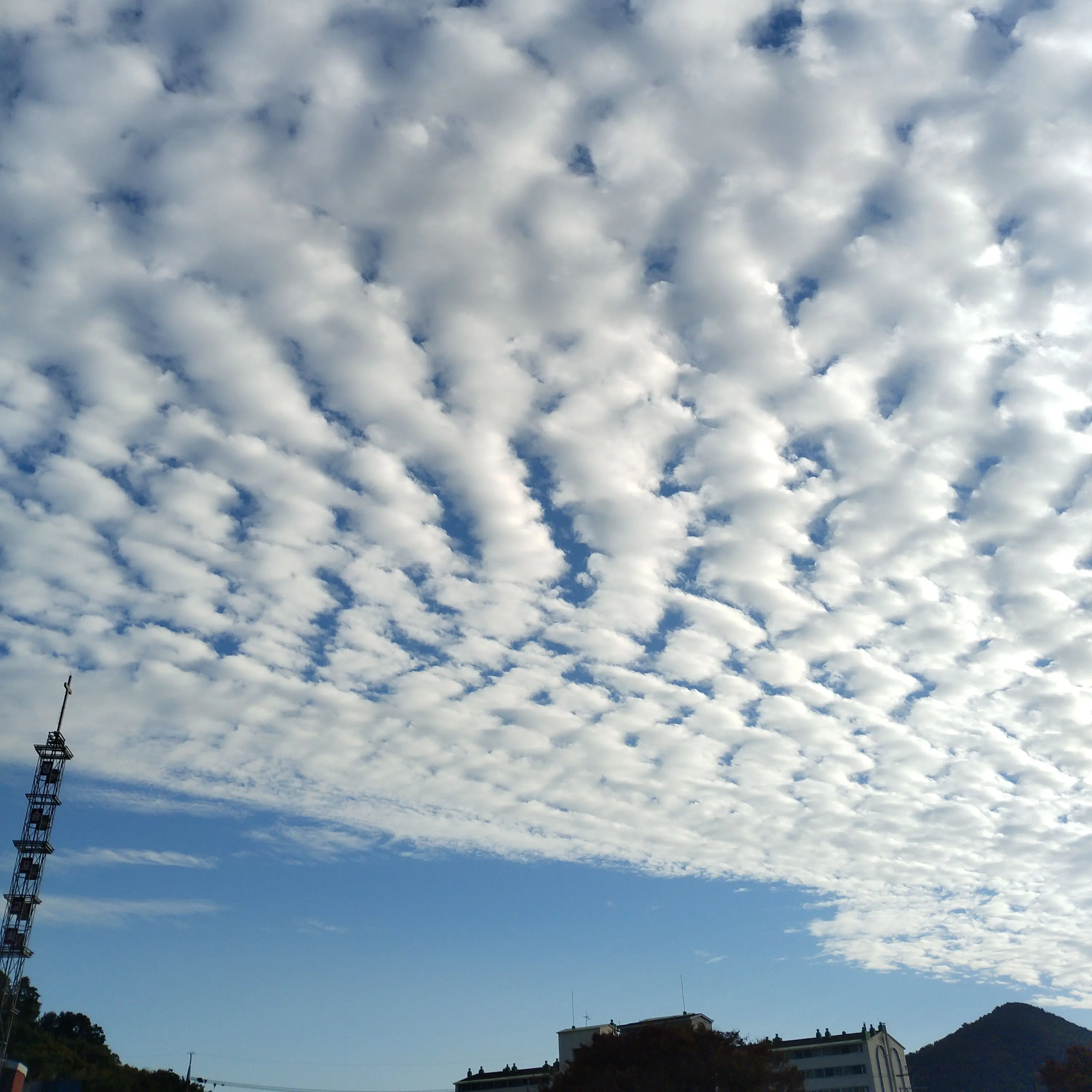 SuperbPeach6568의 소꿉친구