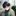 이태한