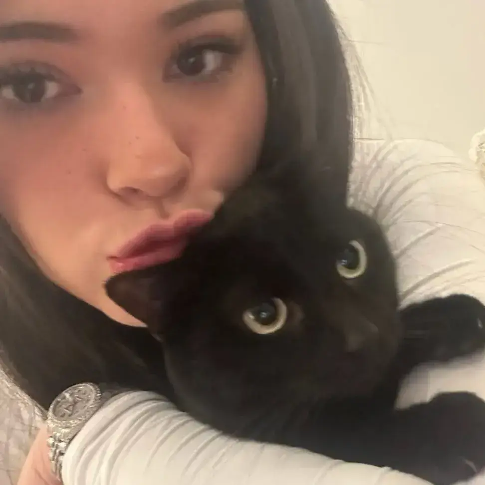 HardDrum3789의 Amira Hassan