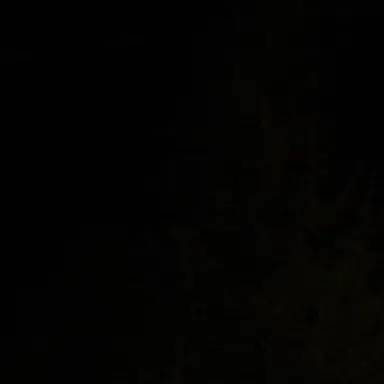 Profile image of 정성찬