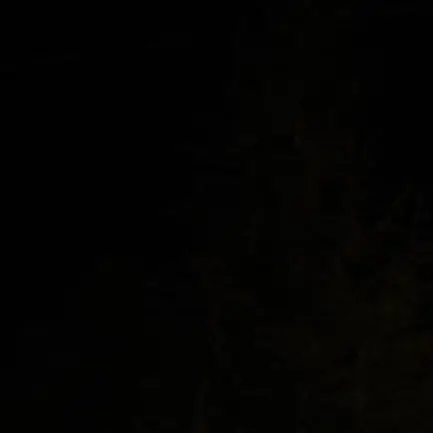 MadPizza0489의 정성찬