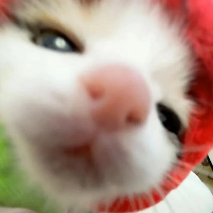 성이한.