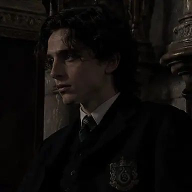 Profile image of Regulus Black
