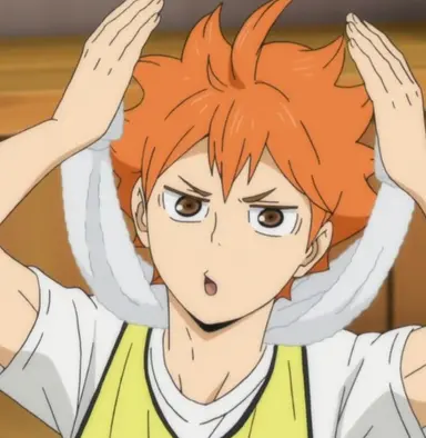 Profile image of Shoyo Hinata