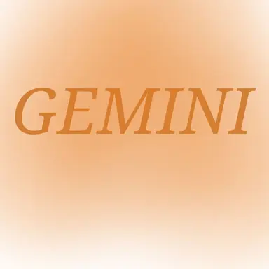 Profile image of 제미니