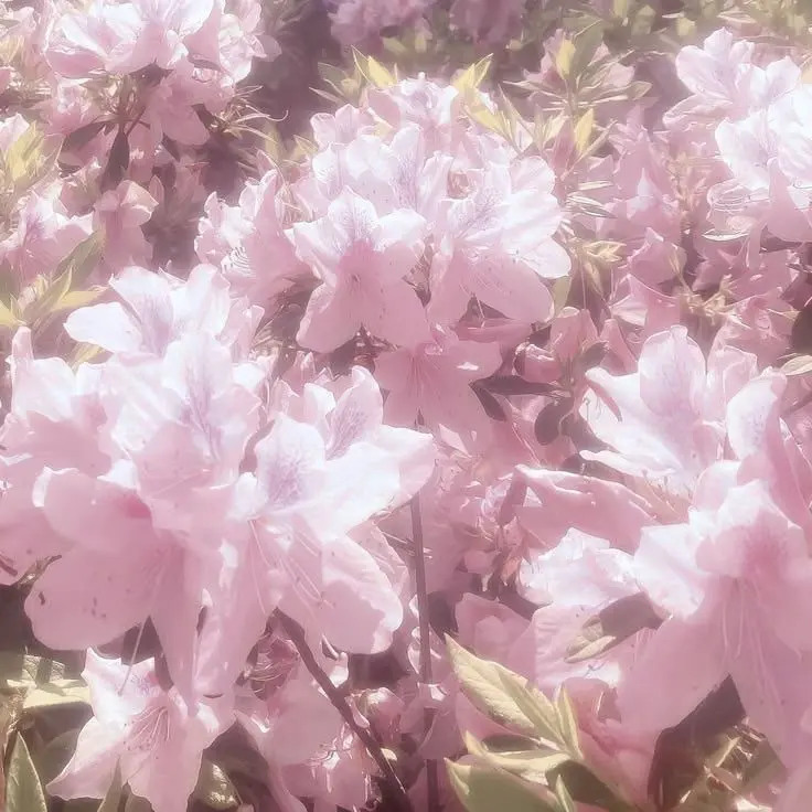 tukino_01의 イコールラブ