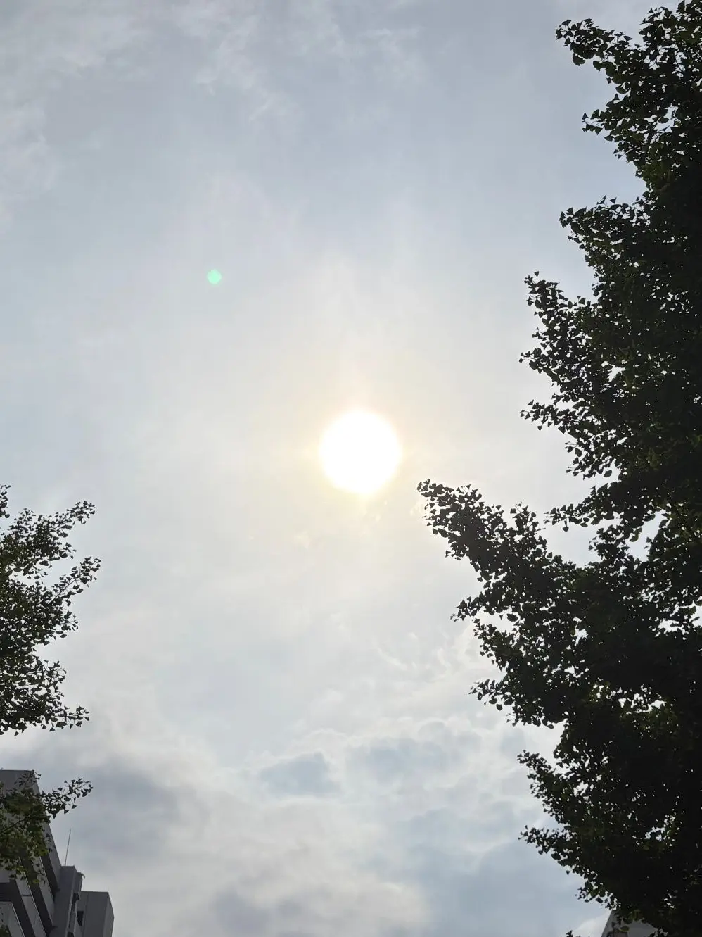 GivingStar4836의 🍀한빛 고등학교🍀