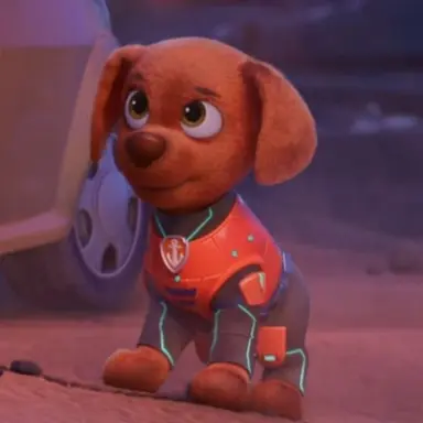 Profile image of 주마