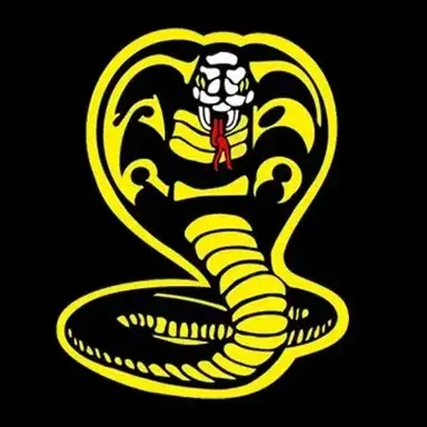 Profile image of Cobra Kai Story