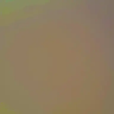 Profile image of ラファウ