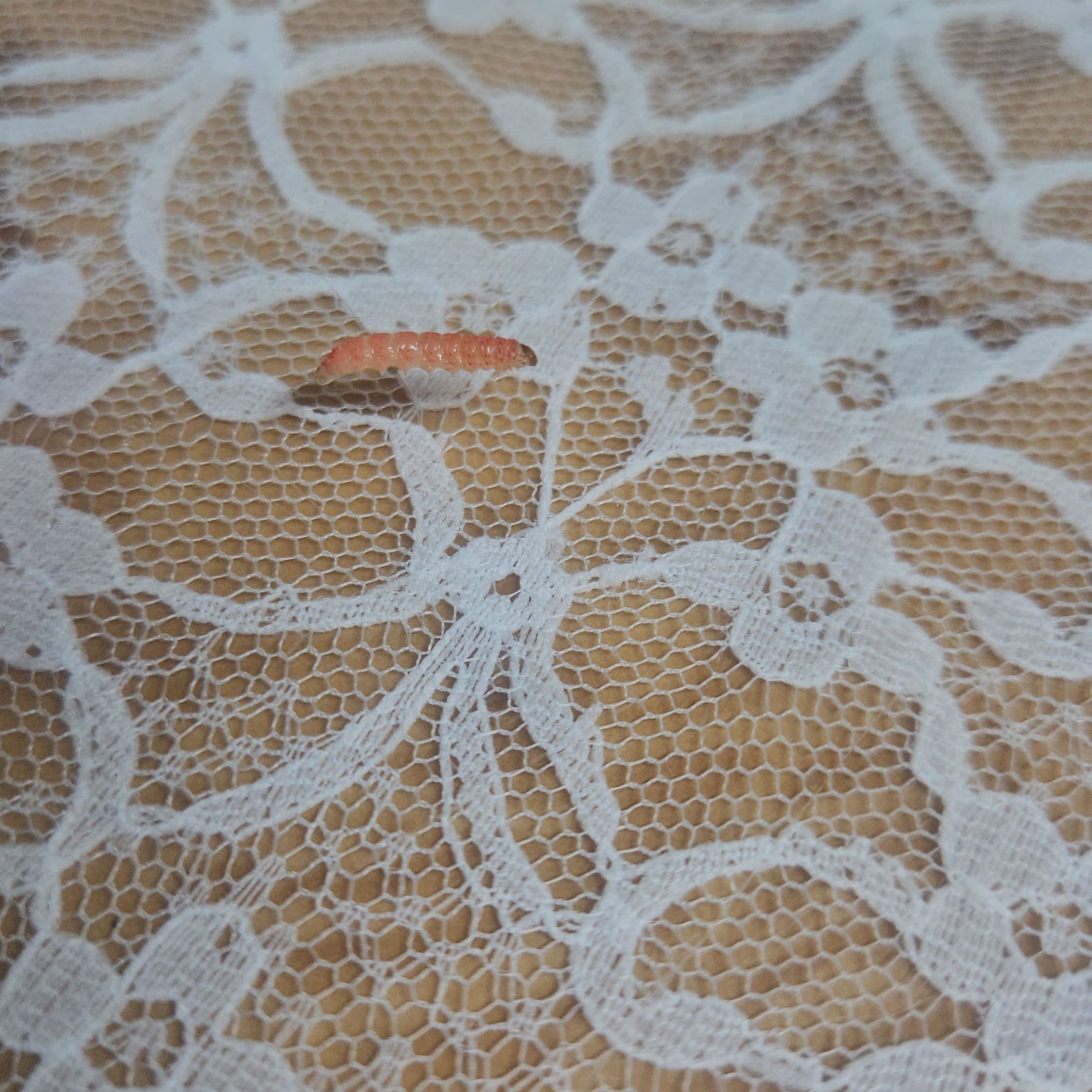 직장수지 검사 대표 이미지