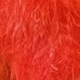 Profile image of 曽野 舜太