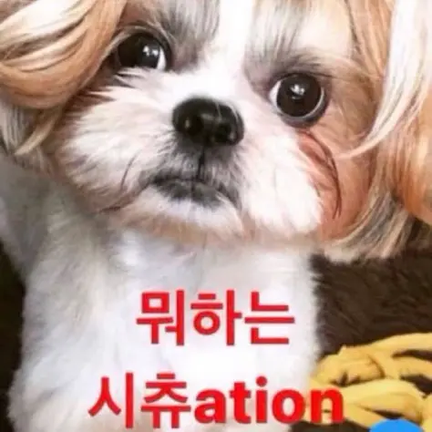 shewasafairy의 박원빈