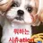 박원빈