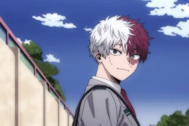 Profile image of Shoto Todoroki
