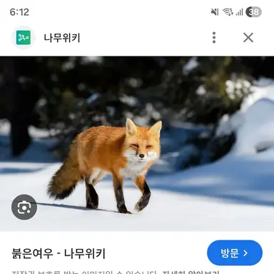 Profile image of 여우