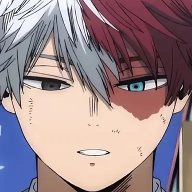 Profile image of Todoroki
