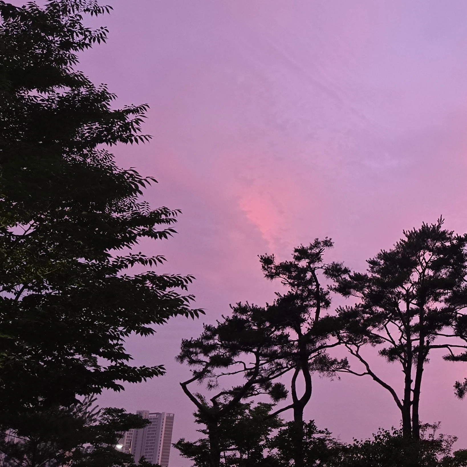 ㅊㅁ