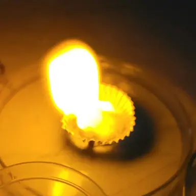 Profile image of 제미니