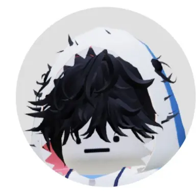 Profile image of AID