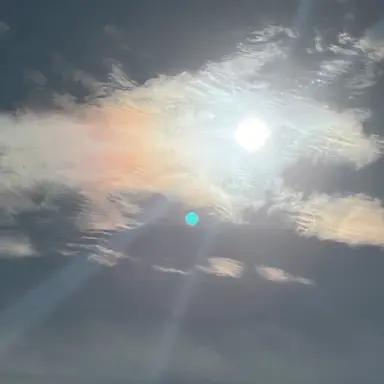 Profile image of ナチス