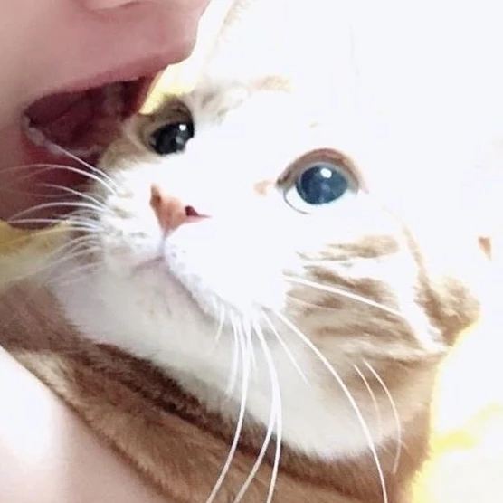 이민호