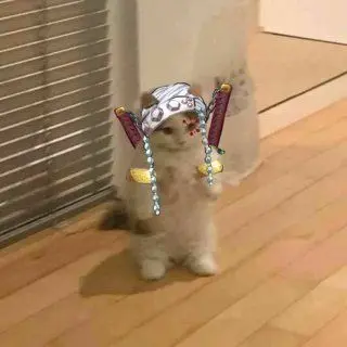 RobustCloud9937의 우즈이 유저가 고양이 예방접종!