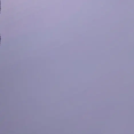 ProneArrow9353의 曲パロディ（rfmo）