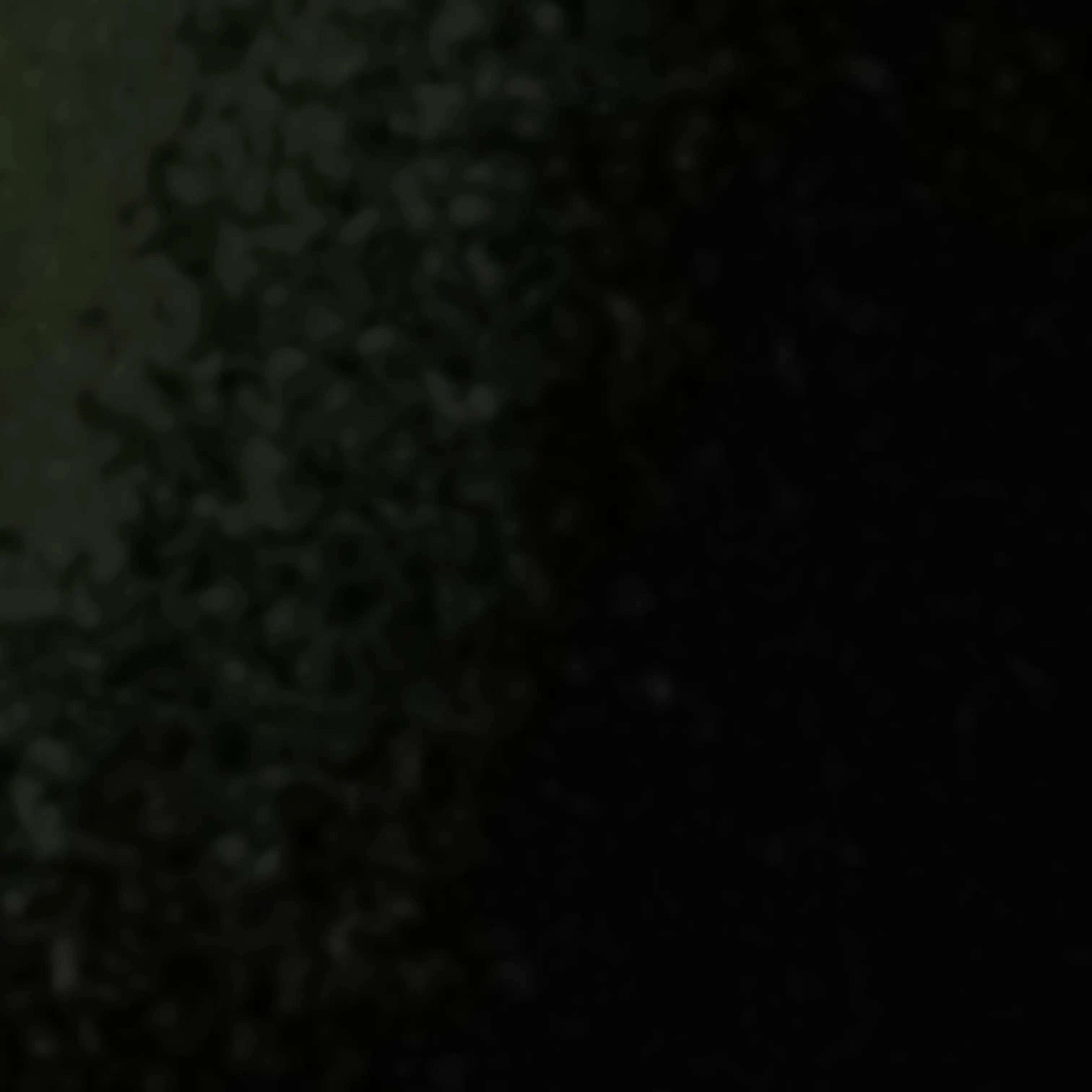Unknown2의 얀데레