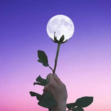 Profile image of 멜로우