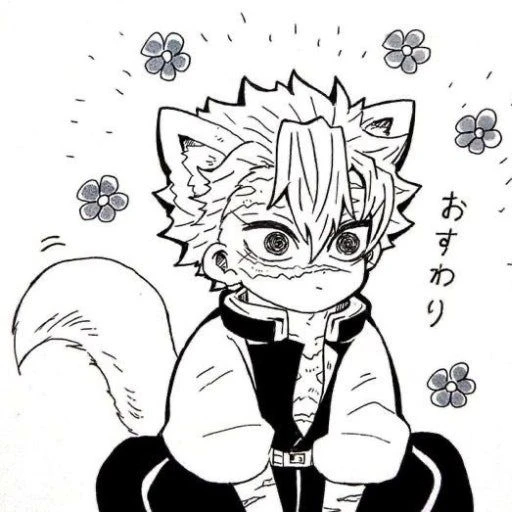 시나즈가와 사네미