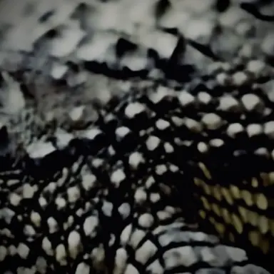 Profile image of 조패천