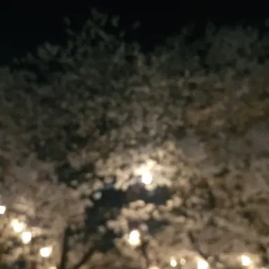 Profile image of 여자1