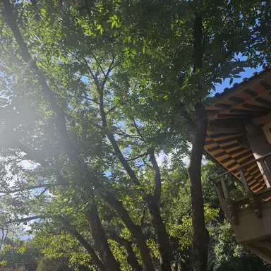 Profile image of 여자2