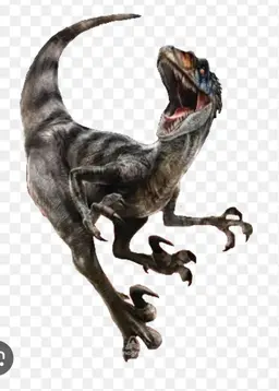 Profile image of Velociraptor