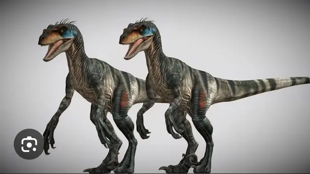 Profile image of Velociraptor