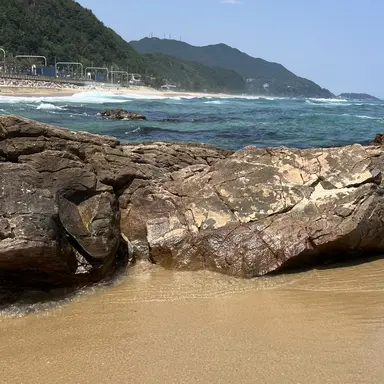 Profile image of 당신는 뜰팁 막내