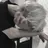 백 지 혁