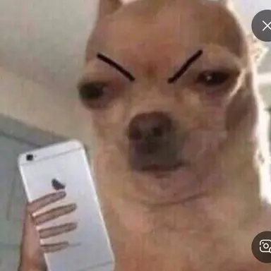 Profile image of 유주