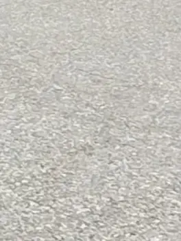 B_Kotori의 「🕶」